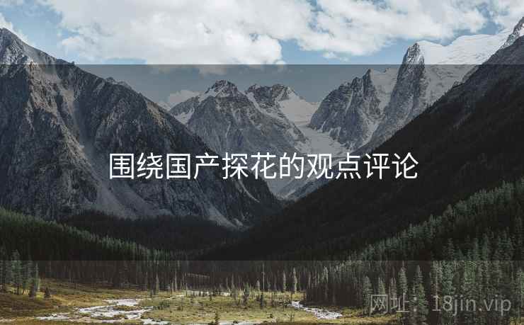 围绕国产探花的观点评论