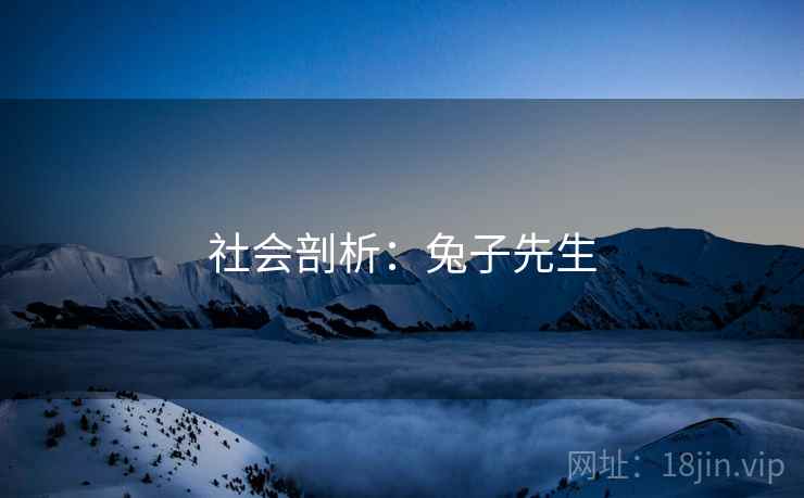 社会剖析：兔子先生
