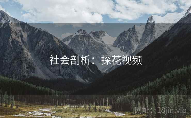 社会剖析：探花视频