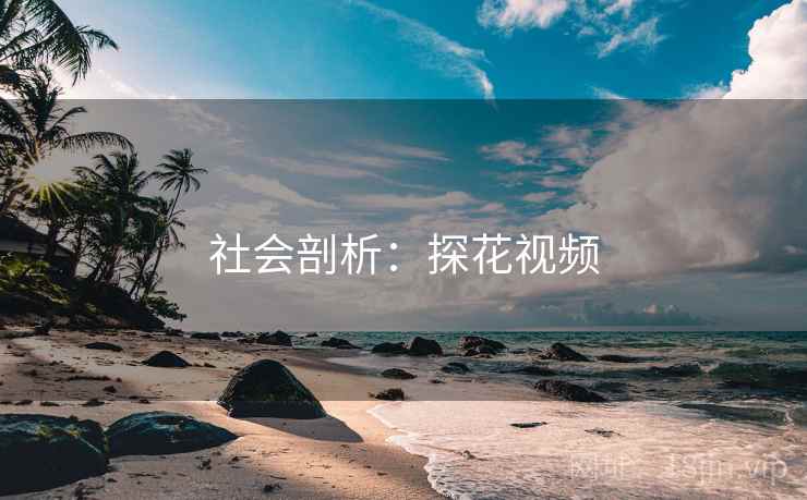 社会剖析：探花视频