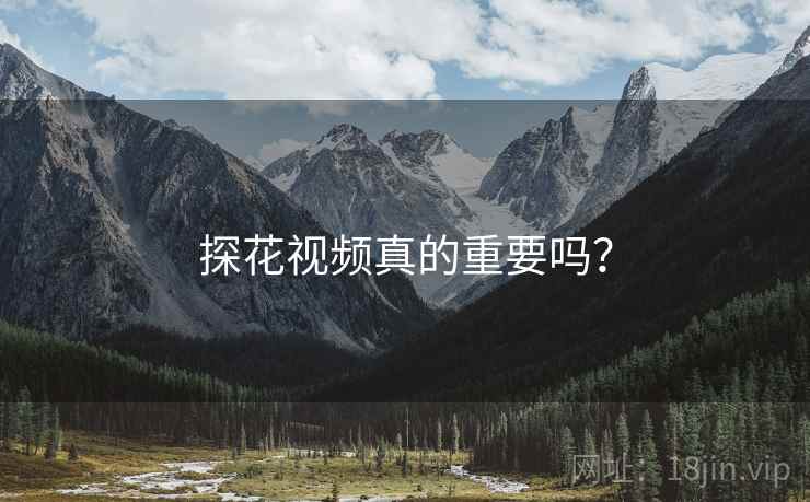 探花视频真的重要吗？