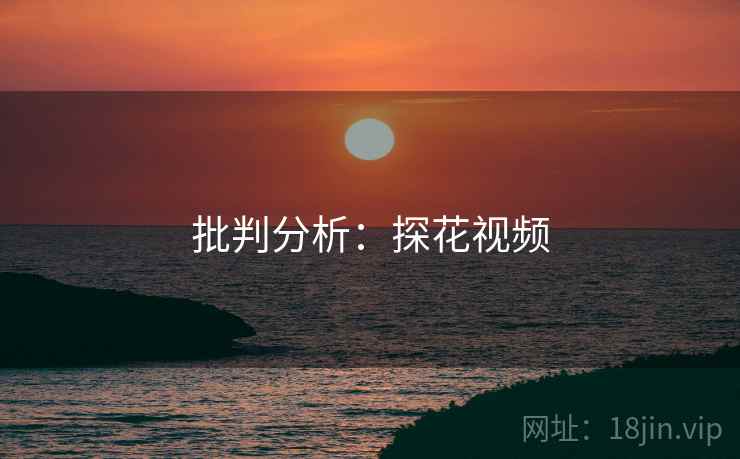 批判分析：探花视频