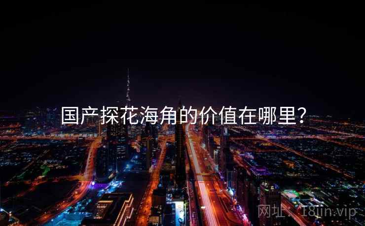 国产探花海角的价值在哪里？