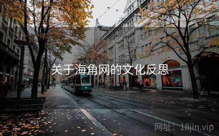 关于海角网的文化反思
