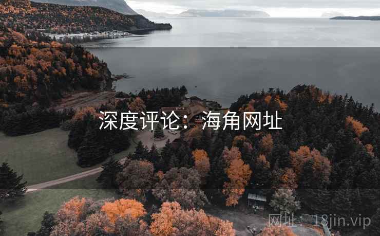深度评论：海角网址