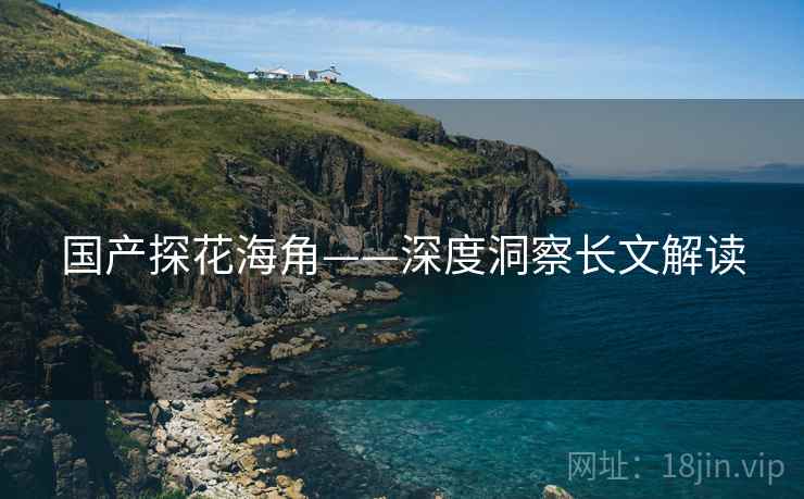 国产探花海角——深度洞察长文解读