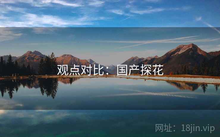 观点对比：国产探花
