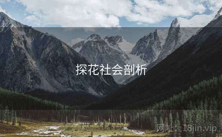 探花社会剖析