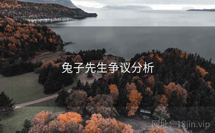 兔子先生争议分析