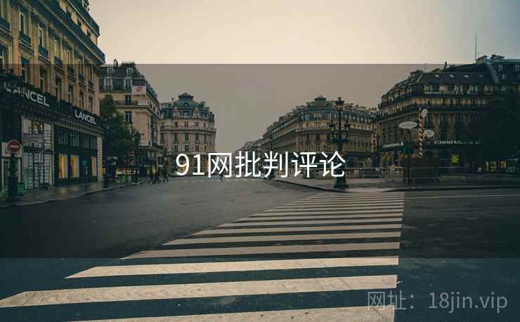 91网批判评论