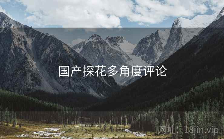 国产探花多角度评论