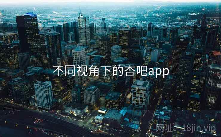 不同视角下的杏吧app