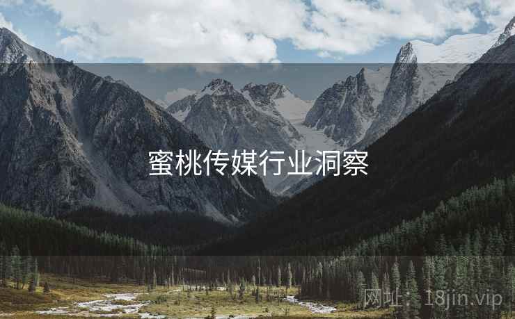 蜜桃传媒行业洞察
