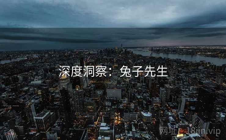 深度洞察：兔子先生